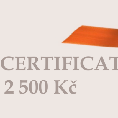 Dárkový Poukaz 2 500 Kč